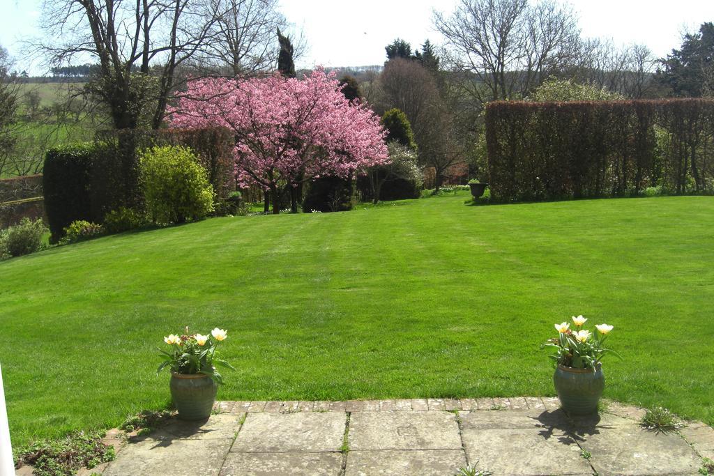 Stowting Hill House Bed & Breakfast Ashford  Exterior photo
